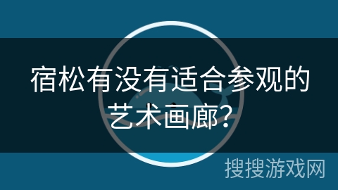 宿松有没有适合参观的艺术画廊？