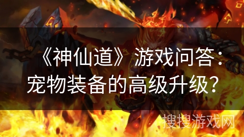 《神仙道》游戏问答：宠物装备的高级升级？