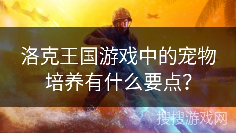 洛克王国游戏中的宠物培养有什么要点？