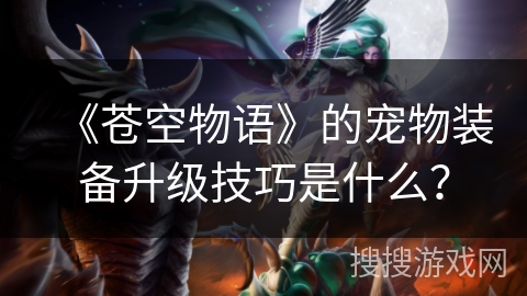 《苍空物语》的宠物装备升级技巧是什么? 《苍空物语》的宠物装备升级技巧是什么?