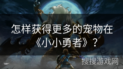 怎样获得更多的宠物在《小小勇者》？