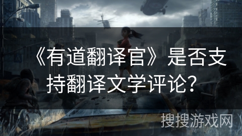《有道翻译官》是否支持翻译文学评论？