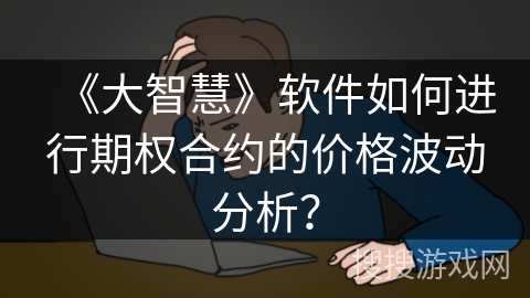 《大智慧》软件如何进行期权合约的价格波动分析？