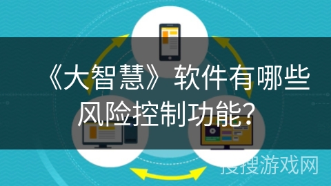《大智慧》软件有哪些风险控制功能？