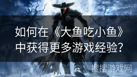 如何在《大鱼吃小鱼》中获得更多游戏经验？