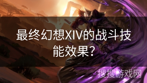 最终幻想XIV的战斗技能效果？