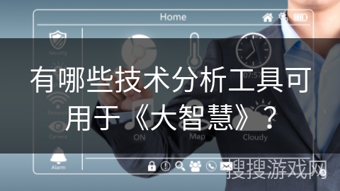 有哪些技术分析工具可用于《大智慧》？