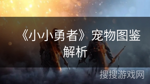 《小小勇者》宠物图鉴解析