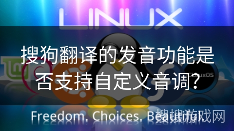 搜狗翻译的发音功能是否支持自定义音调？