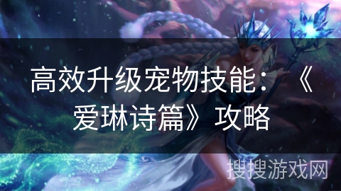 高效升级宠物技能：《爱琳诗篇》攻略