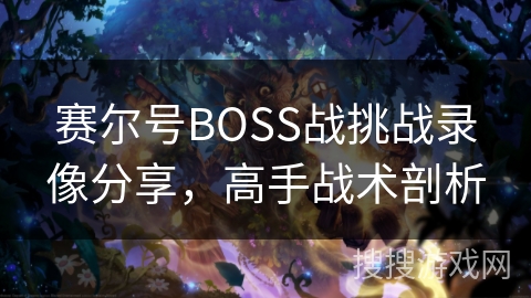 赛尔号BOSS战挑战录像分享，高手战术剖析