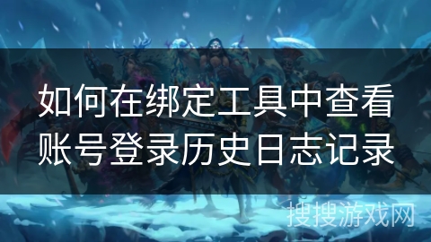 如何在绑定工具中查看账号登录历史日志记录