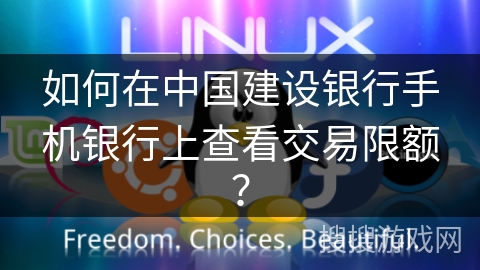 如何在中国建设银行手机银行上查看交易限额？