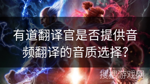 有道翻译官是否提供音频翻译的音质选择？