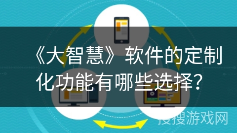 《大智慧》软件的定制化功能有哪些选择？