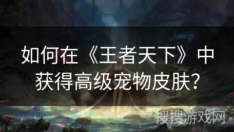 如何在《王者天下》中获得高级宠物皮肤？