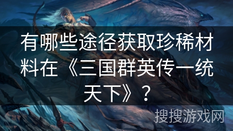 有哪些途径获取珍稀材料在《三国群英传一统天下》？