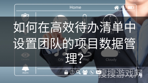 如何在高效待办清单中设置团队的项目数据管理？
