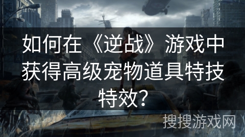 如何在《逆战》游戏中获得高级宠物道具特技特效？