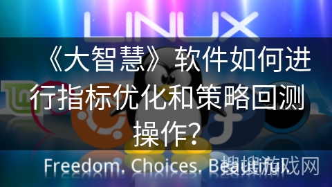 《大智慧》软件如何进行指标优化和策略回测操作？
