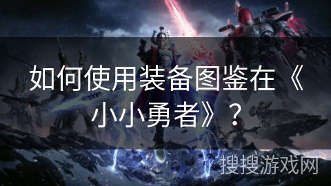 如何使用装备图鉴在《小小勇者》？