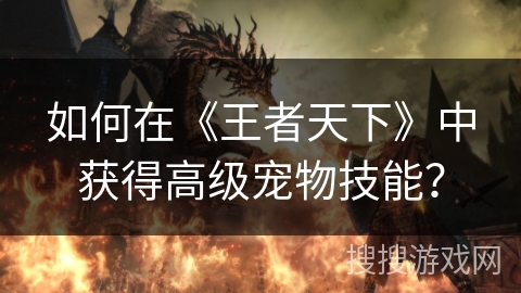 如何在《王者天下》中获得高级宠物技能？