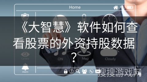 《大智慧》软件如何查看股票的外资持股数据？