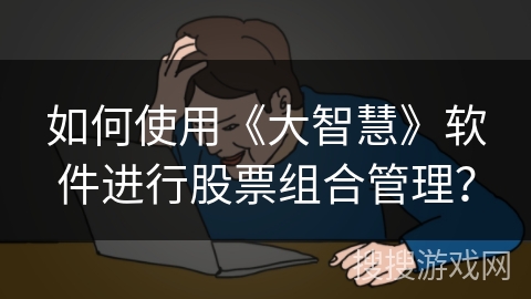 如何使用《大智慧》软件进行股票组合管理？