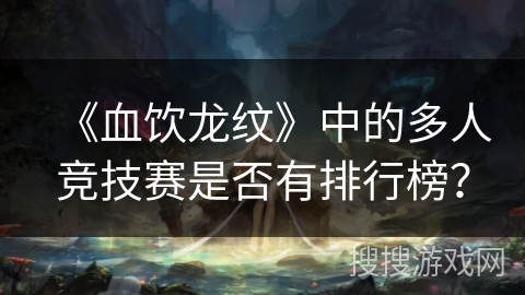 《血饮龙纹》中的多人竞技赛是否有排行榜？