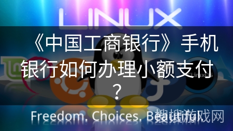 《中国工商银行》手机银行如何办理小额支付？