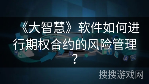 《大智慧》软件如何进行期权合约的风险管理？