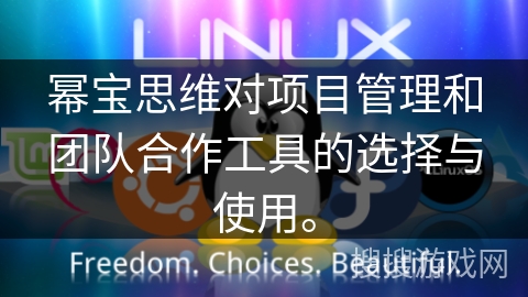 幂宝思维对项目管理和团队合作工具的选择与使用。