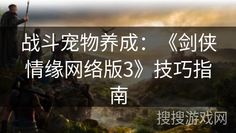 战斗宠物养成：《剑侠情缘网络版3》技巧指南