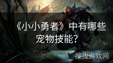 《小小勇者》中有哪些宠物技能？