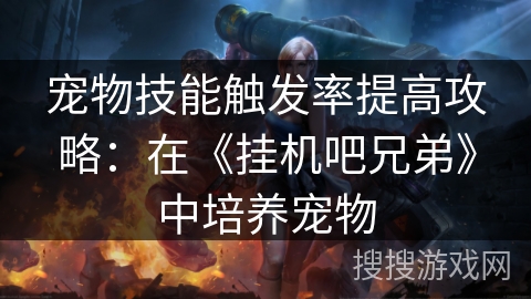 宠物技能触发率提高攻略：在《挂机吧兄弟》中培养宠物