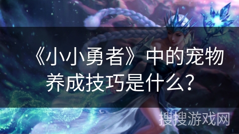 《小小勇者》中的宠物养成技巧是什么？