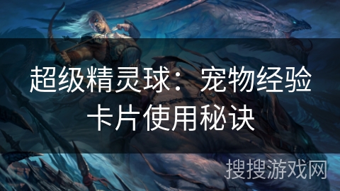 超级精灵球：宠物经验卡片使用秘诀