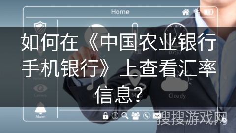 如何在《中国农业银行手机银行》上查看汇率信息？