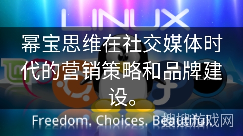 幂宝思维在社交媒体时代的营销策略和品牌建设。 幂宝思维在社交媒体时代的营销策略和品牌建设。