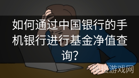 如何通过中国银行的手机银行进行基金净值查询？