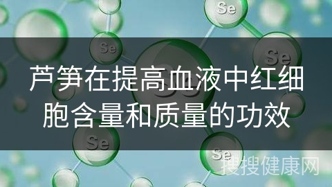 芦笋在提高血液中红细胞含量和质量的功效