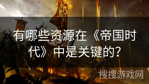 有哪些资源在《帝国时代》中是关键的？