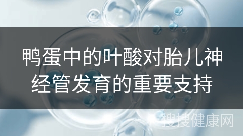 鸭蛋中的叶酸对胎儿神经管发育的重要支持