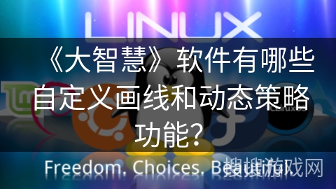 《大智慧》软件有哪些自定义画线和动态策略功能？
