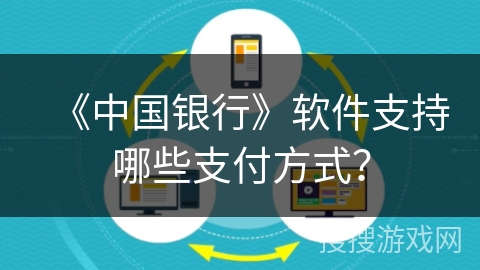《中国银行》软件支持哪些支付方式？