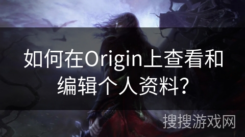 如何在Origin上查看和编辑个人资料?