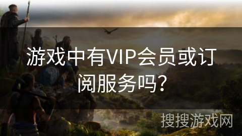 游戏中有VIP会员或订阅服务吗？