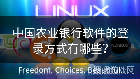 中国农业银行软件的登录方式有哪些？