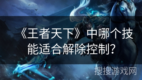 《王者天下》中哪个技能适合解除控制？