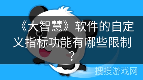 《大智慧》软件的自定义指标功能有哪些限制？